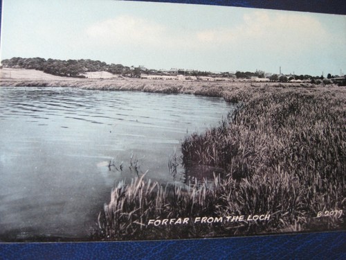Forfar from the - forfar,