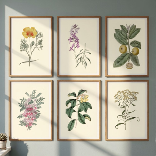 6er set vintage botanische - 6er,